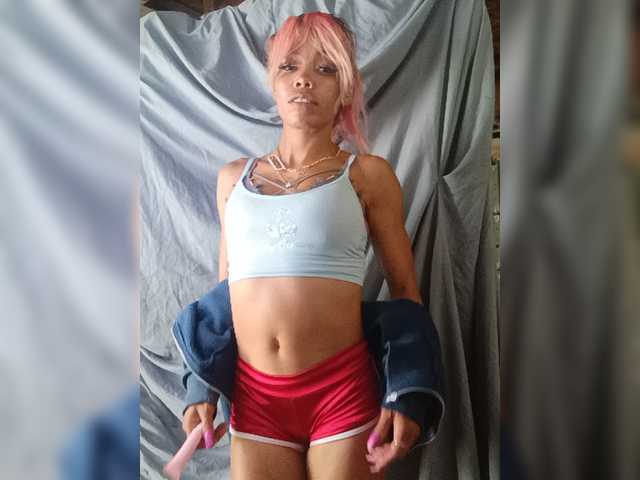 Dollyrose