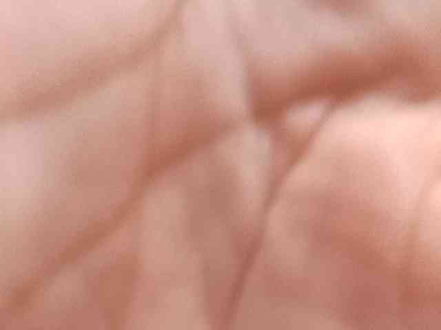 Dollyrose webcam