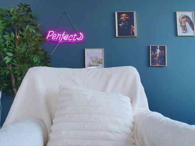 perfect-moans webcam