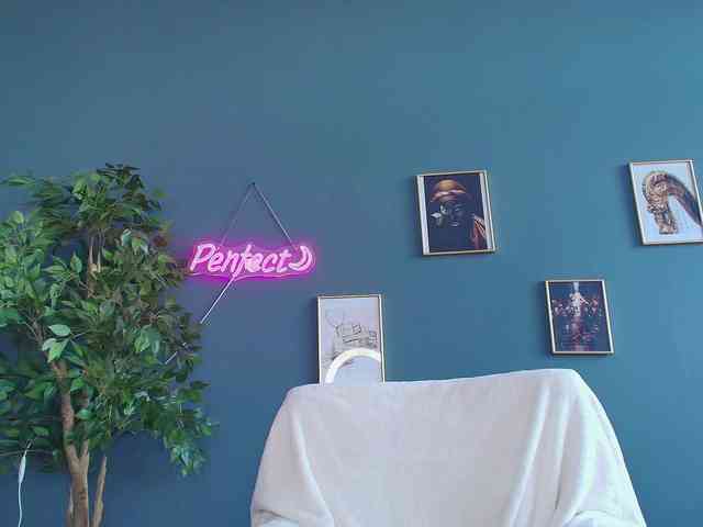 perfect-moans webcam