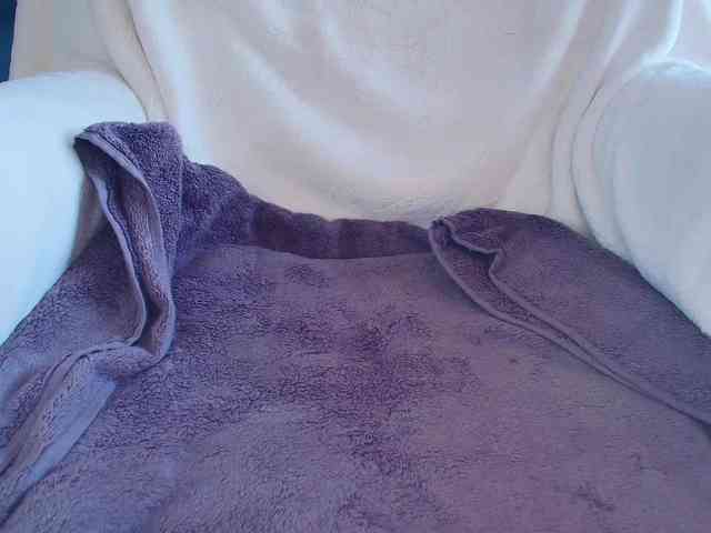 perfect-moans webcam