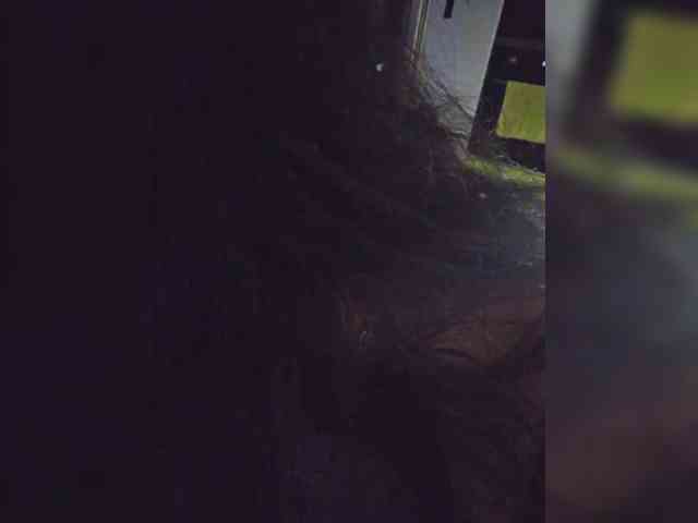 Nikoletta25 webcam