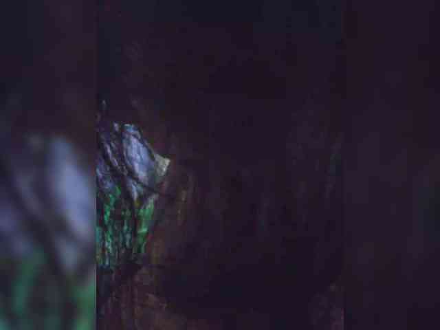 Nikoletta25 webcam
