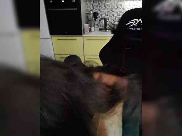 Nikoletta25 webcam