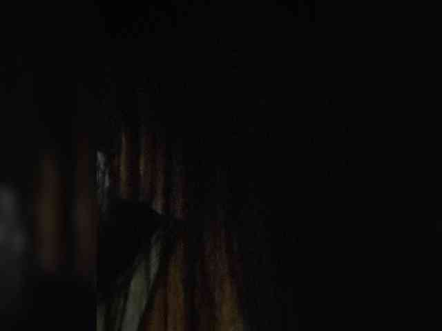 Nikoletta25 webcam