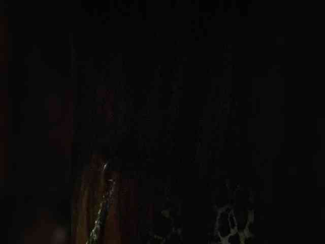 Nikoletta25 webcam