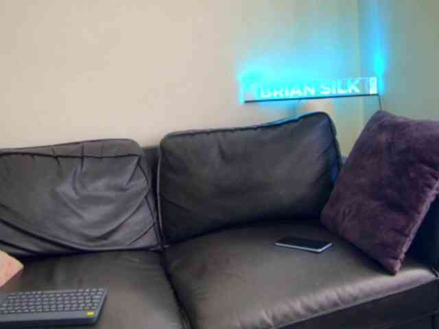 BrianSilk Live Webcam on BongaCams