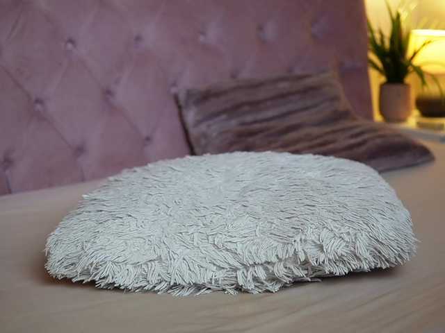 MaiaMini