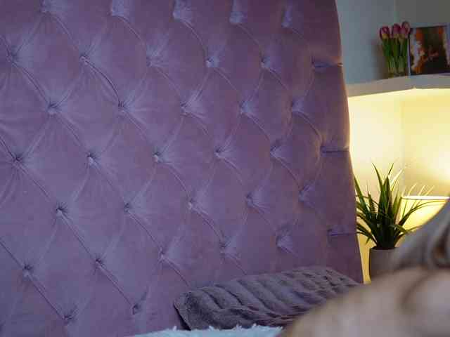 MaiaMini webcam