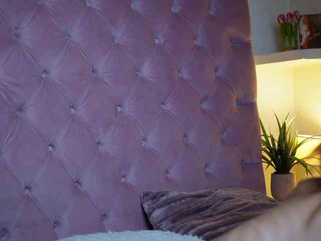 MaiaMini webcam