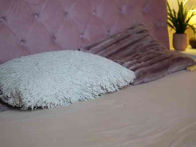 MaiaMini webcam