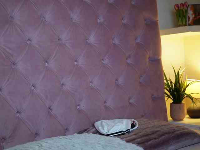 MaiaMini webcam