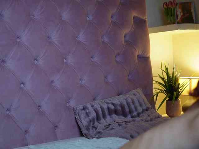 MaiaMini webcam