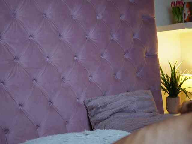MaiaMini webcam