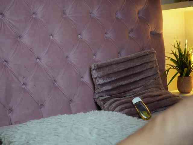 MaiaMini webcam