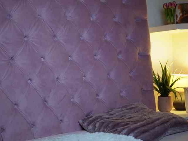 maiamini's live room