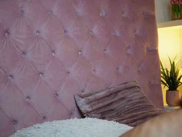 MaiaMini webcam