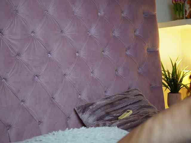 MaiaMini webcam