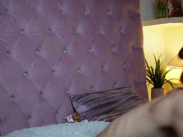 MaiaMini webcam