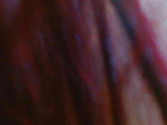 moons-ivy webcam