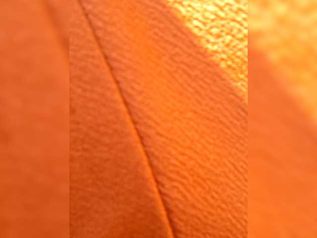 Preview of marialeteciafilipina