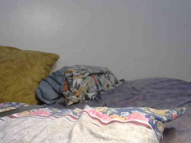 Stacylane webcam