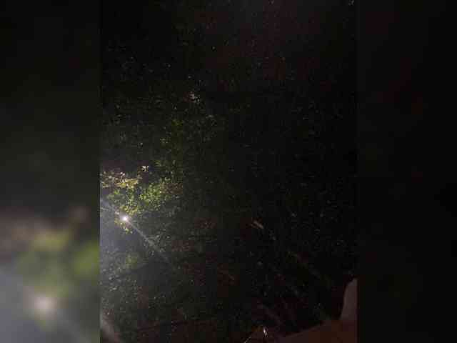 Chantellexoti webcam