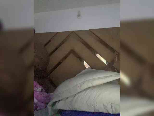 Chantellexoti webcam
