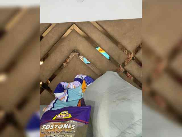 Chantellexoti webcam