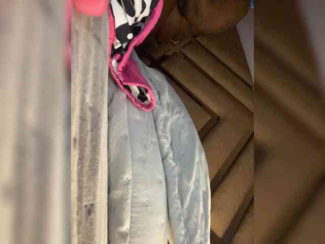 Chantellexoti