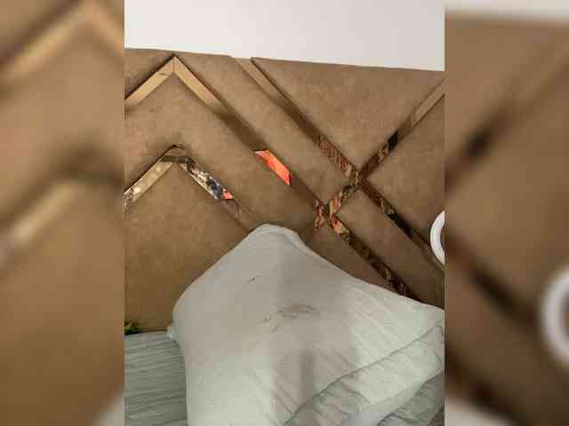 Chantellexoti webcam