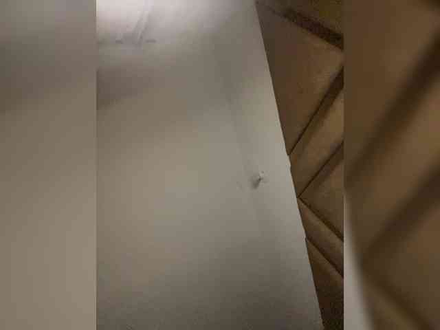 Chantellexoti webcam