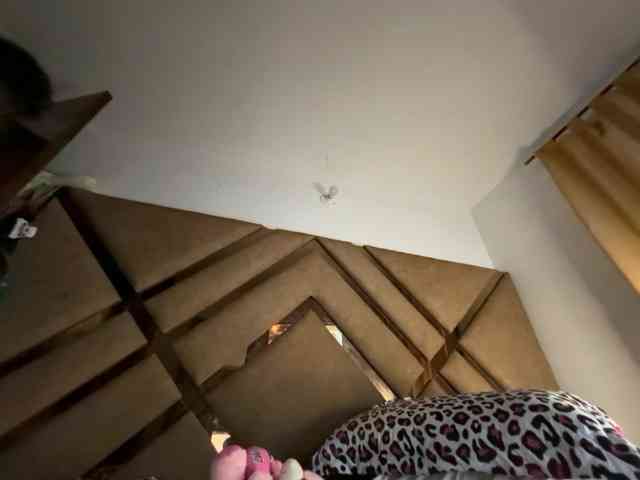Chantellexoti