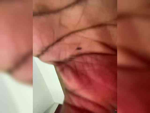 Chantellexoti