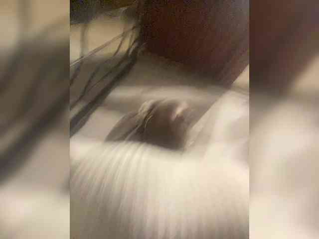 Chantellexoti webcam