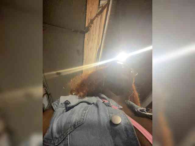 Chantellexoti