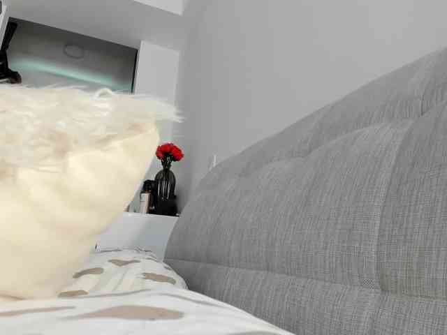 Danyblonde