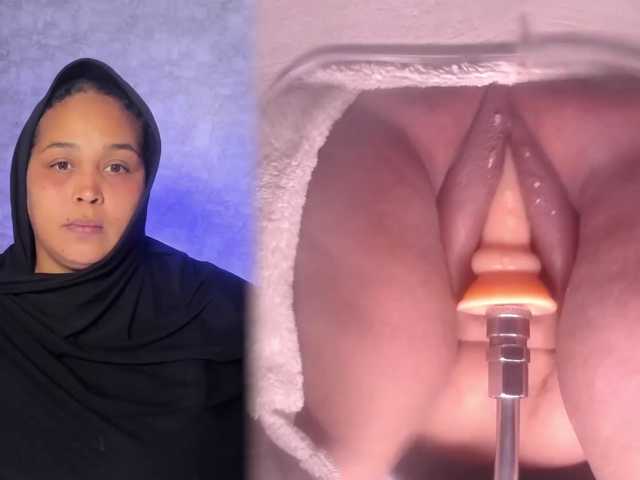 BBWHijab