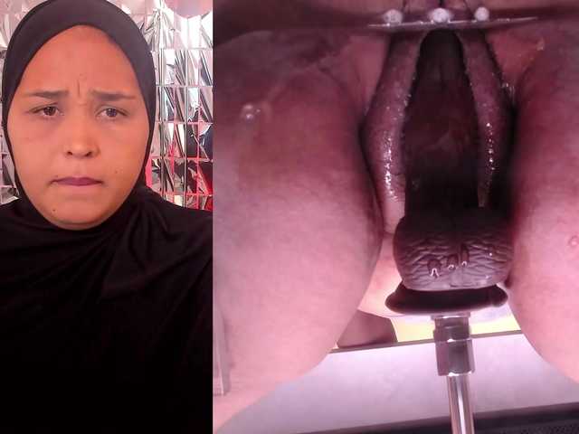 BBWHijab