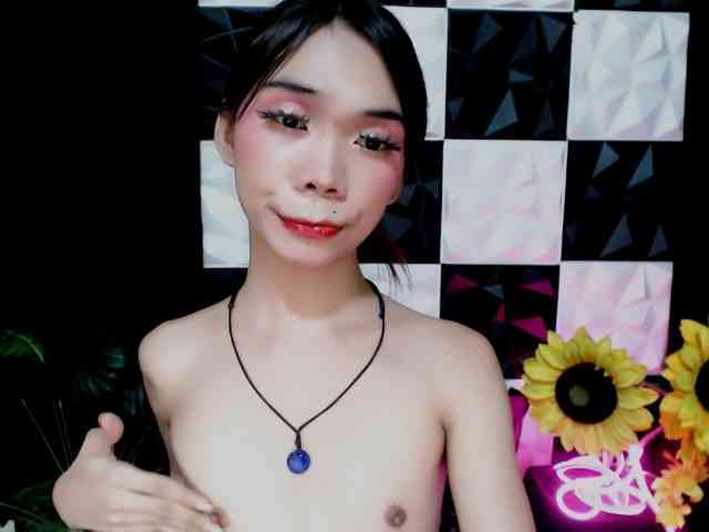 SKINNYasianSLUTs