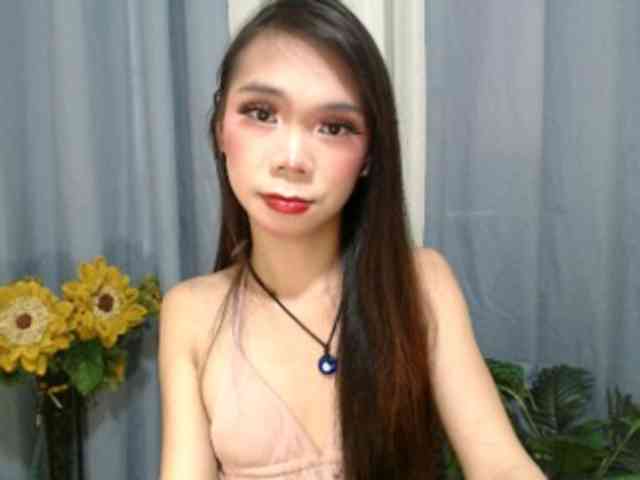 SKINNYasianSLUTs