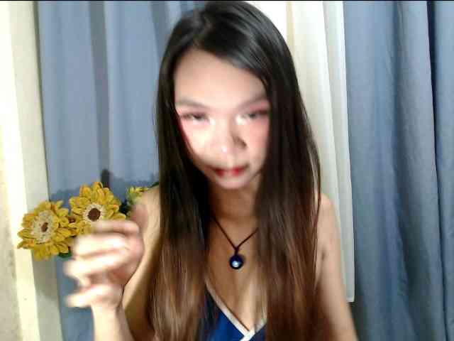 SKINNYasianSLUTs