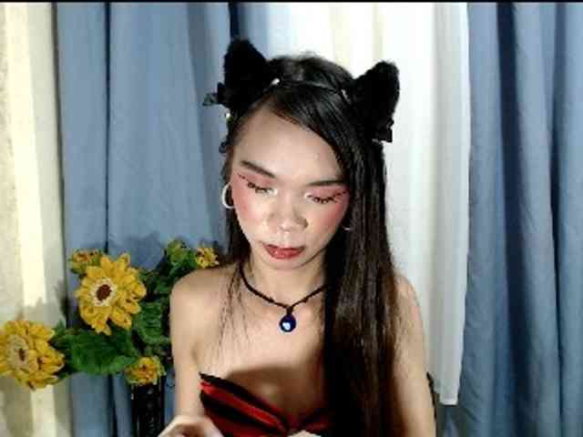 SKINNYasianSLUTs