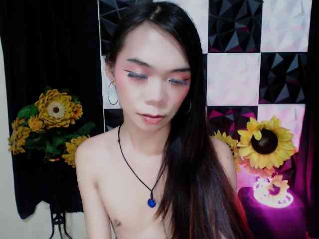 SKINNYasianSLUTs