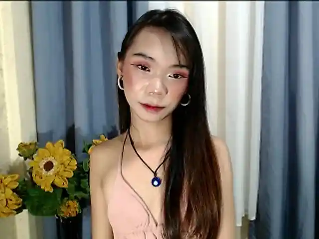 SKINNYasianSLUTs