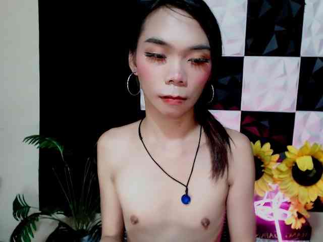 SKINNYasianSLUTs