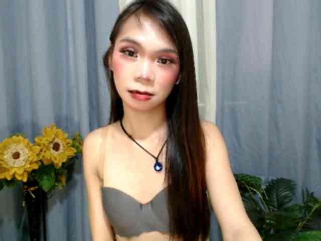 SKINNYasianSLUTs