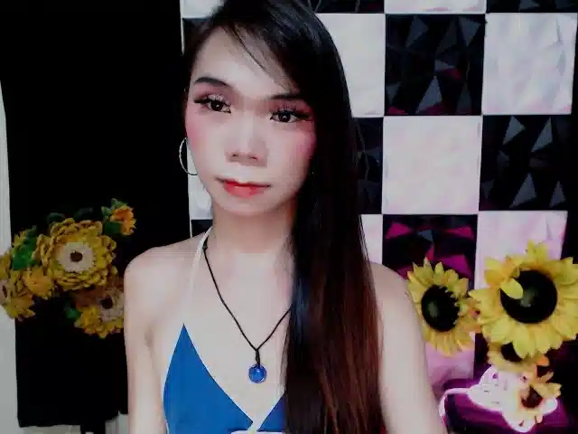 SKINNYasianSLUTs