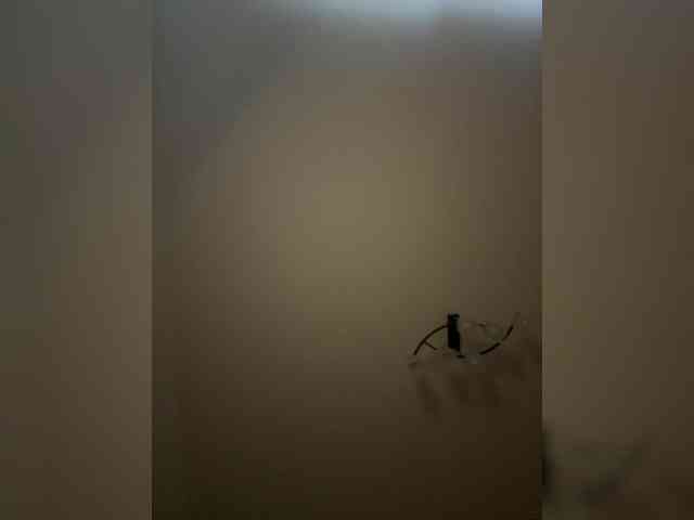 Lubim88 webcam