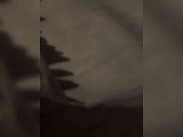 Lubim88 webcam